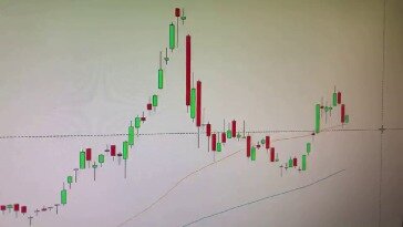 Which Stop Loss Order Is Best For Your Strategy?