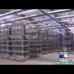 Search Results For china Bitcoin Mining Warehouse