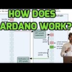 What Is Cardano And How Does It Work?