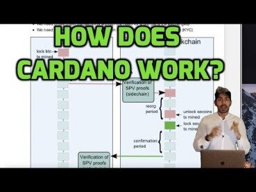 What Is Cardano And How Does It Work?
