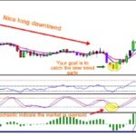 Forex Strategies & Systems Revealed
