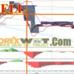 How Large Is Dukascopy Compared To Other Forex Brokers Fractal Reversal Strategy