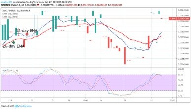 Verge Price Today, Xvg Live Marketcap, Chart, And Info