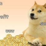 Dogecoin Payments To Be Accepted By This Nba Team