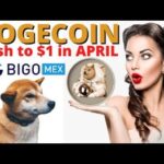 Dogecoin Price Tracker, Updates As Cryptocurrency’s Value Holds Steady
